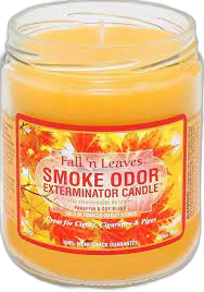 Smoke Odor Fall N Leaves Candle