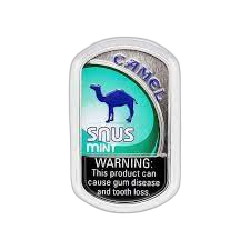 Camel Snus Mint