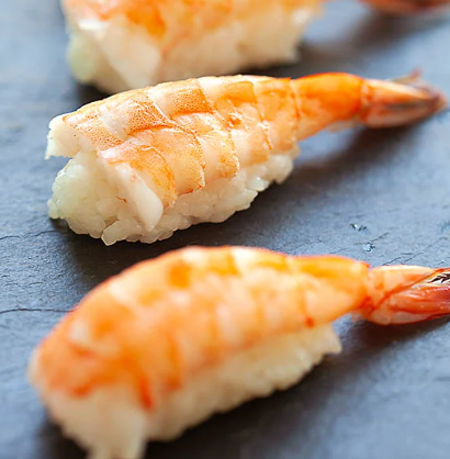 Shrimp