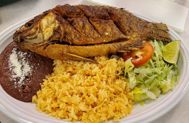 Tilapia