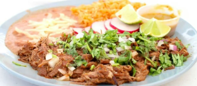 Birria Plate